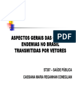 Aula7 Endemias Vetores 1