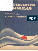 Grunberg Onto Um PDF