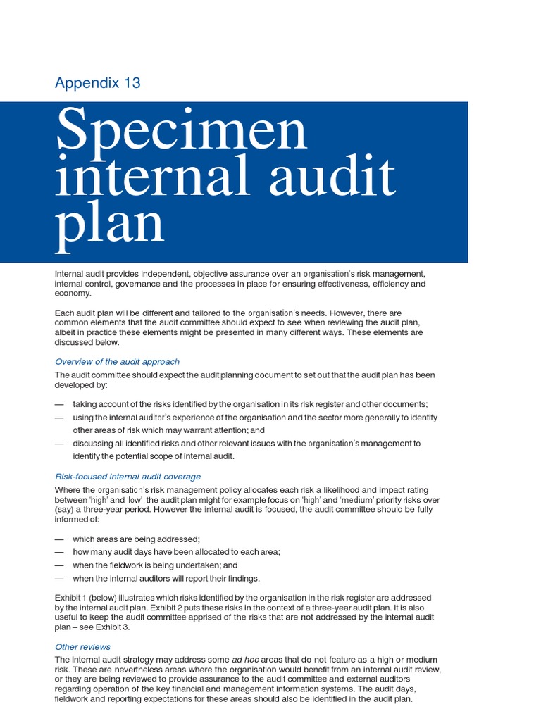 13 Specimen Internal Audit Plan | PDF | Business