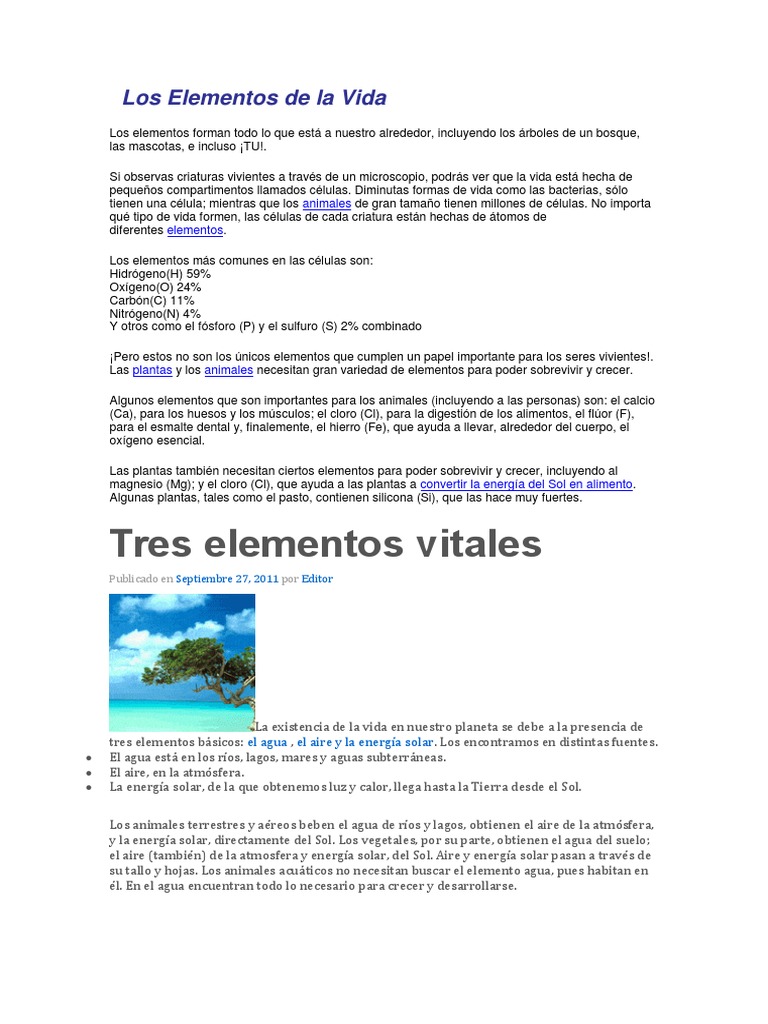 Elementos Vitales. Elementos , Ecosistema: Qué es, tipos y 101 ejemplos ...