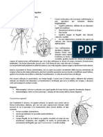 MICROBIOLOGIA - 16 (07aprile)