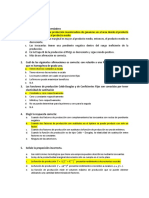 Preguntas Producción.pdf