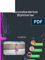 Cory Ne Bacterium Diphtheria e