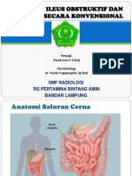  Patofisiologi Ileus Obstruktif