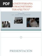 2 Biomagnetismo Bases 2009