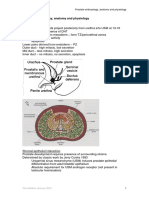 TJW Prostate Embryology Anatomy and Physiology PDF