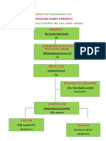 Struktur Organisasi IGD dan VK RS Annisa