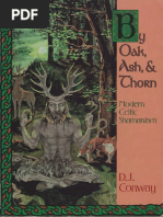 Modern Celtic Shamanism-Conway PDF