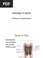 Download Histology of Dentin by drfaraz SN38806091 doc pdf
