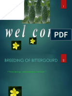 Bittergourd 160718051100 PDF