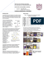 Reaccion de Proteinas