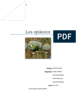 Los Opiáceos: Sector: Elc. Química