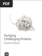 Download Protein Purification by sairam_sky SN38807685 doc pdf