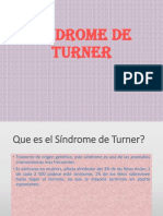 s Indro Turner 1