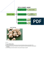 Klasifikasi Jamur