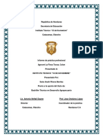 informe final 18 de noviembre.docx