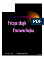 Fenomenologia Psicopatologica 