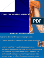 Venas Del Miembro Superior