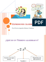 Expresiones Algebraicas