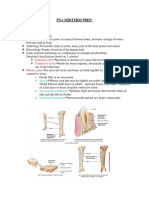 Pna Midterm Prep: Joints Classification of Joints:: Synovial Cavity Connective Tissue Fibrous Joints