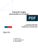 IST Presentacion SUSESO PDF