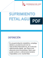 Definición y prevención del sufrimiento fetal