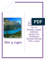 Ríos y Lagos 
