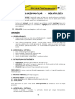 ANATOMIA - CAP (8).pdf