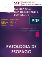 Lab Patologia II Esofago y Estomago