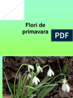 2_flori_de_primavara[1].ppt