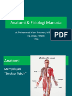 Anatomi & Fisiologi Manusia