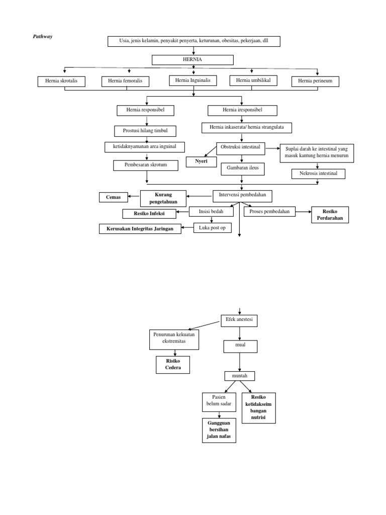 Pathway dan Risiko Operasi Hernia | PDF