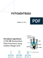 Fotosintesis