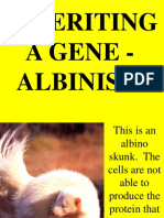 Albino Rec Gene Powerpoint
