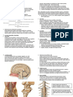 Aula 1 - Introdução à neuroanatomia.docx