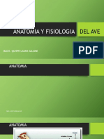 Anatomia y Fisiologia Del Ave