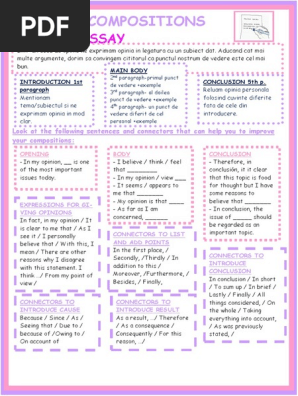 Opinion Essay