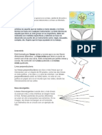 5tipos de Lineas