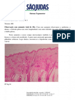 Acervo de lâminas do sistema tegumentar.pdf