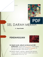 Power Point - Sel Darah Merah