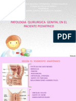 Cirugia Pediatrica 2do Seminario