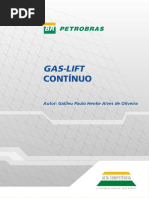 Gás Lift Continuo