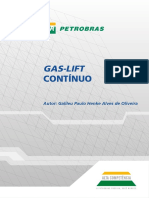 Gás Lift Continuo