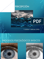 sensacionypercepcion.pdf