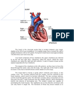 Anatomy&Physiology, Pathophysiology (Julie)