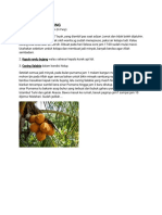 Ilmu Sangkal Putung PDF