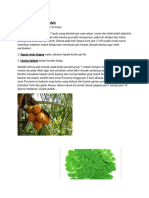 Minyak Sangkal Putung Scribd PDF