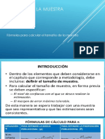 TamañoMuestra_Aula.pdf