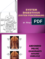 ANATOMY - V. System Digestivus