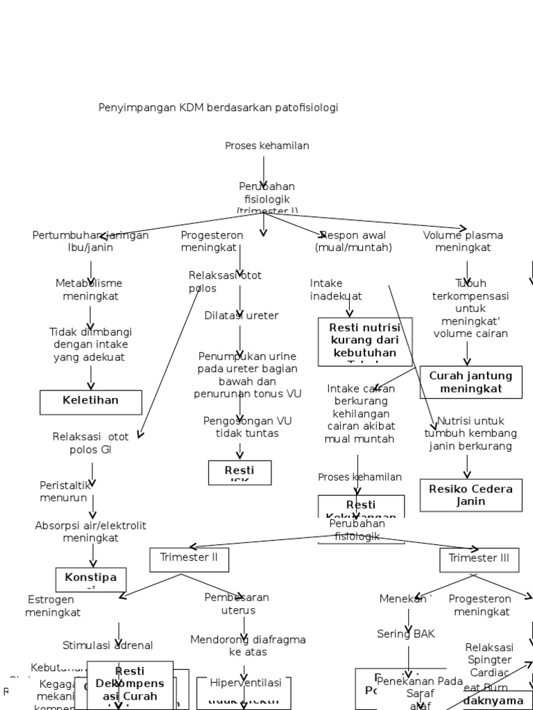 Penyimpangan KDM Berdasarkan Patofisiologi | PDF